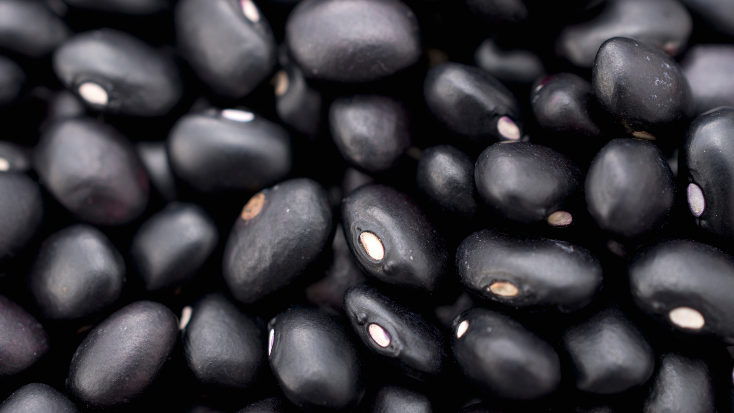 Poroto Negro Orgánico