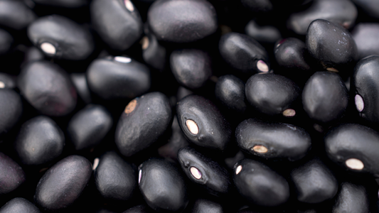 Poroto Negro Orgánico