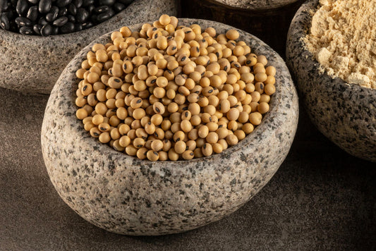 Poroto de Soya Orgánico
