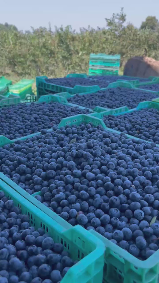 Curso Código Fenológico Aplicado a Frutales